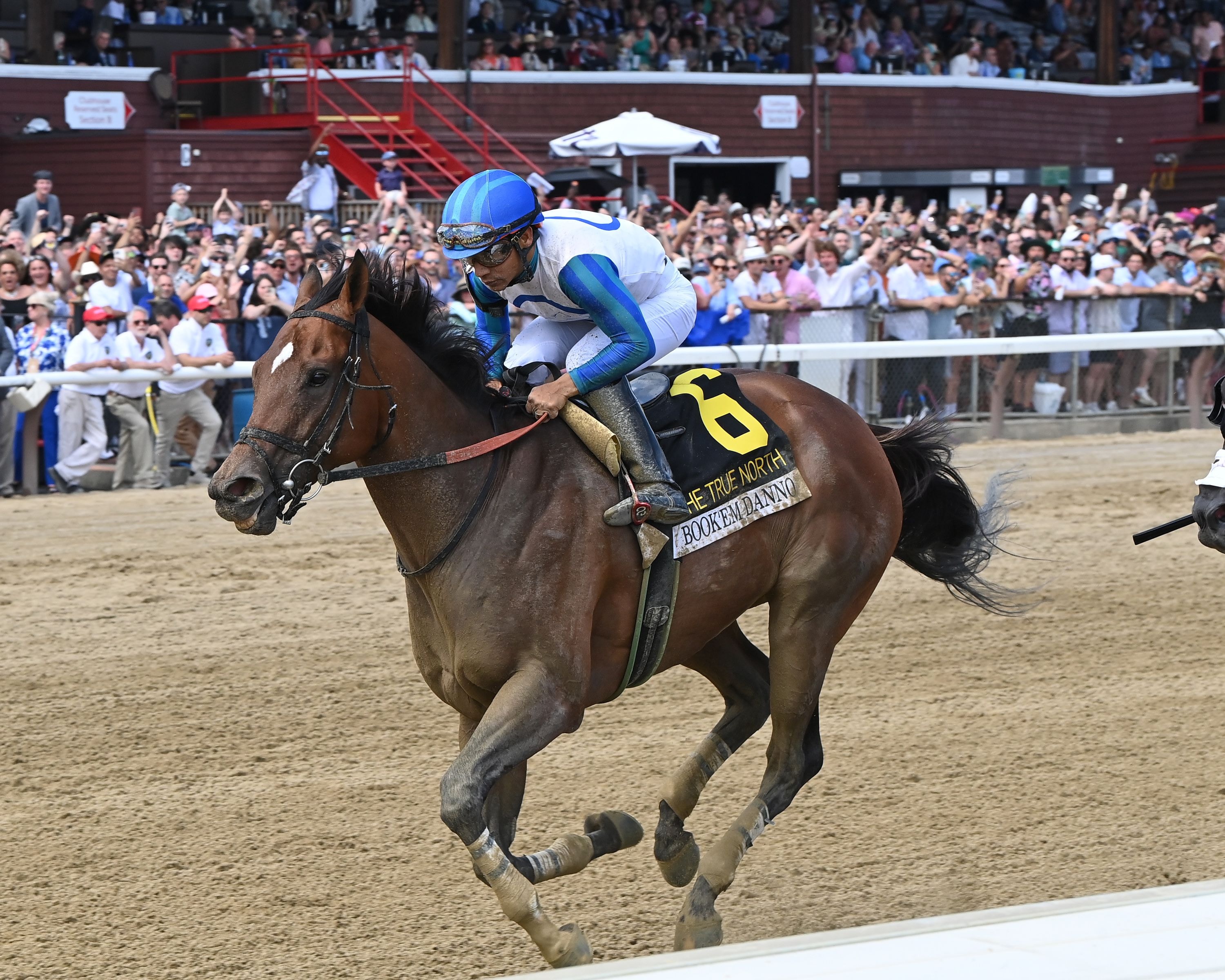 Book'em Danno to star before home crowd