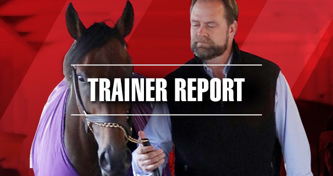 BRISnet Trainer Report statistics
