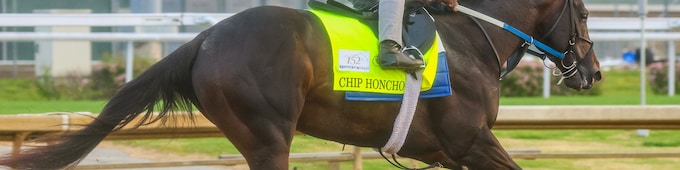 Chip Honcho overtakes Ocelli in Ohio Derby