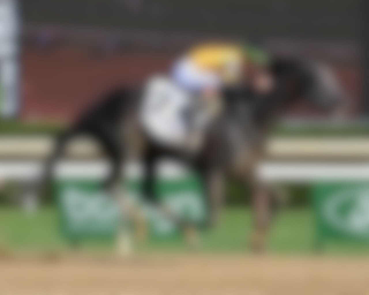 Counting Stars wins the Acorn Stakes at Saratoga. 