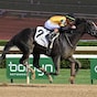 Counting Stars much the best in Acorn
