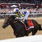 Englishman equals track record in Woody Stephens romp