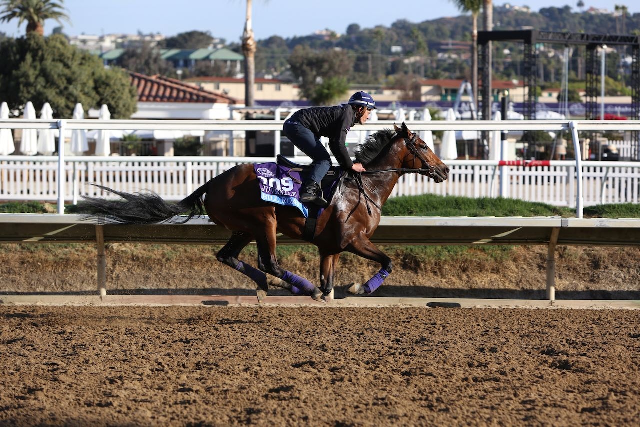 Hill Road stretches out in Peter Pan