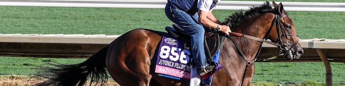 Godolphin takes aim at Belmont Derby, Oaks at Saratoga