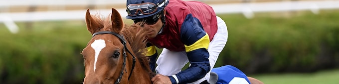 Starspangledbanner filly Kensington Lane blitzes them in Belmont Oaks