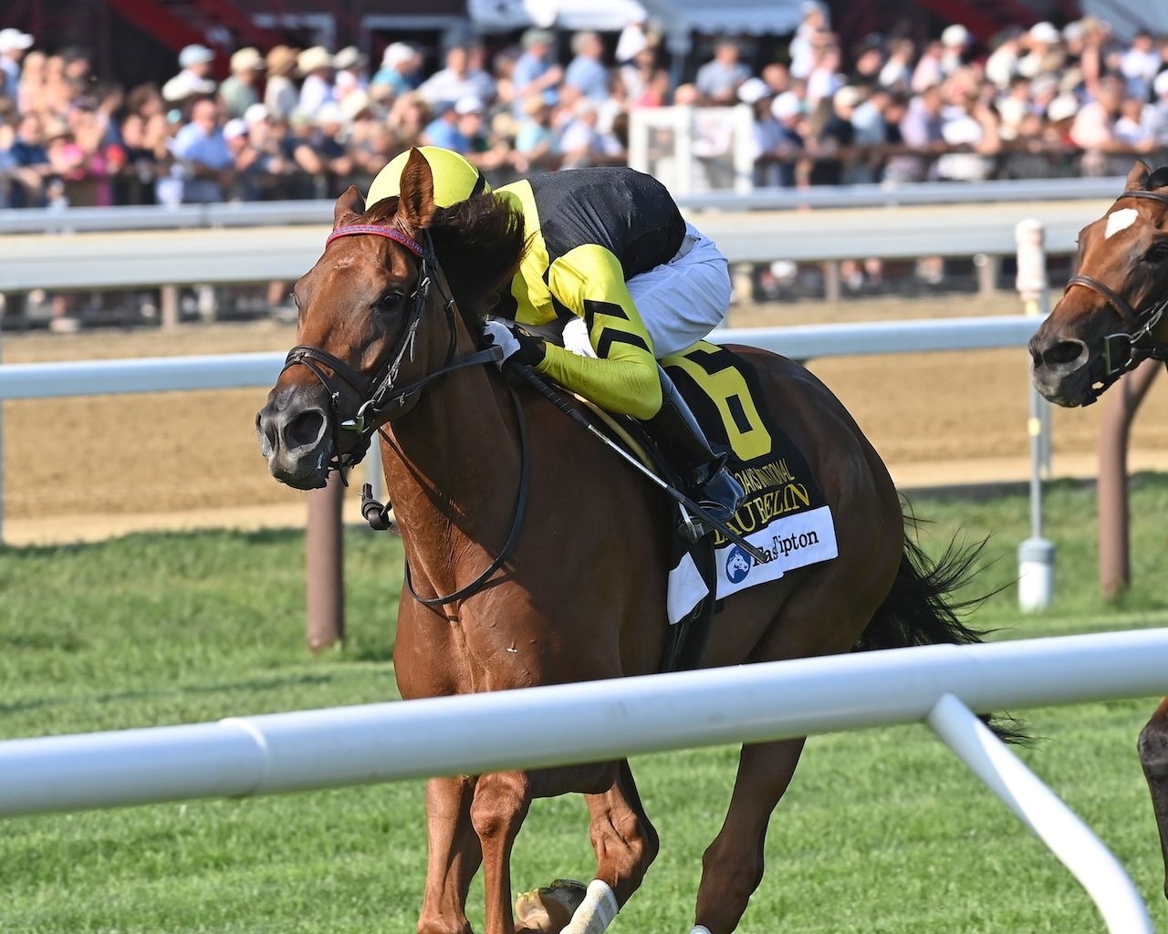 Fionn, Laurelin top Jockey Club Oaks; Ragtime heads Chilukki