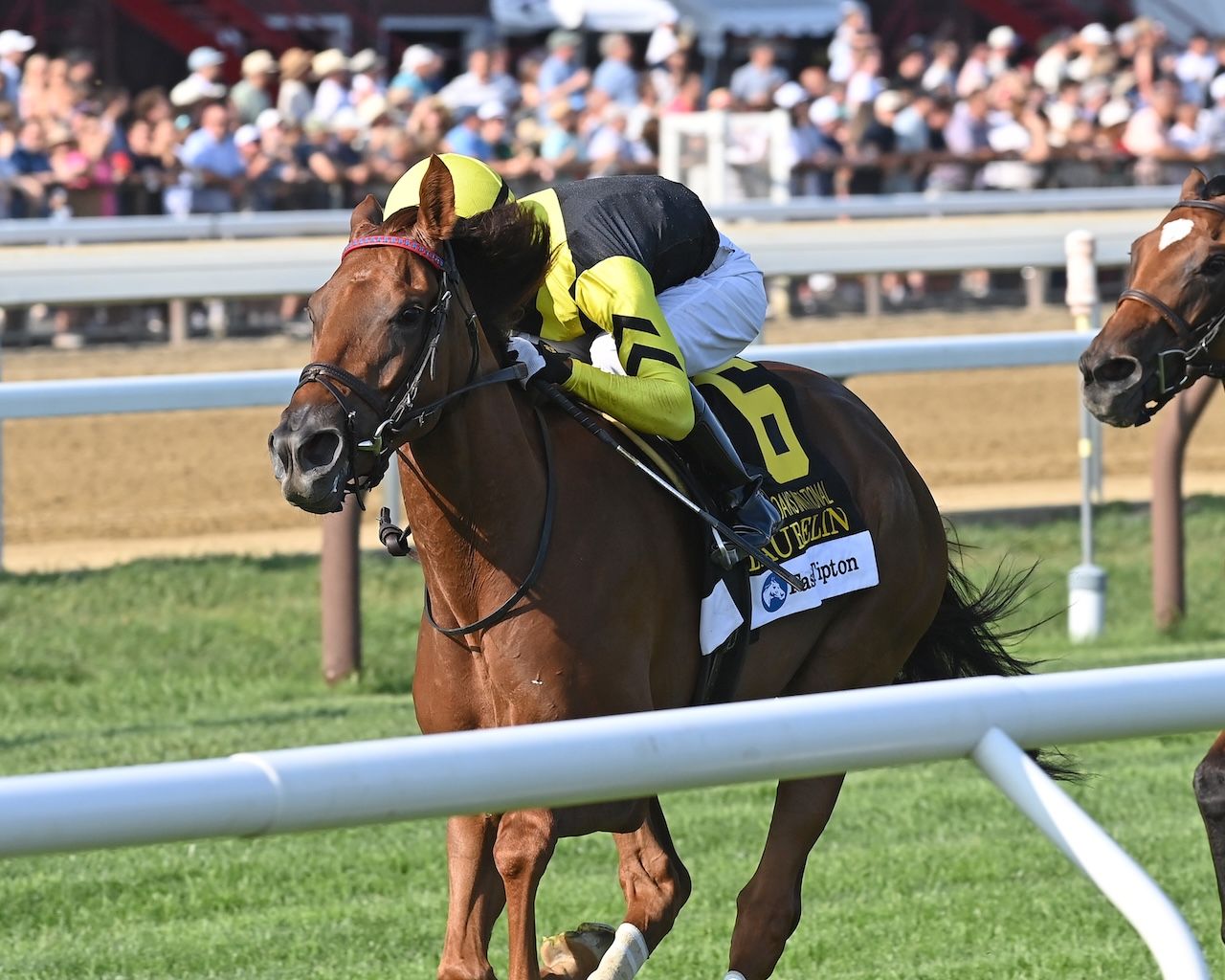 Laurelin wins the Saratoga Oaks (G2)