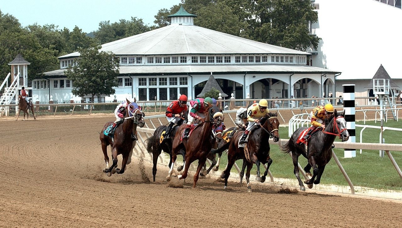 Get to know the 2026 Preakness Stakes contenders