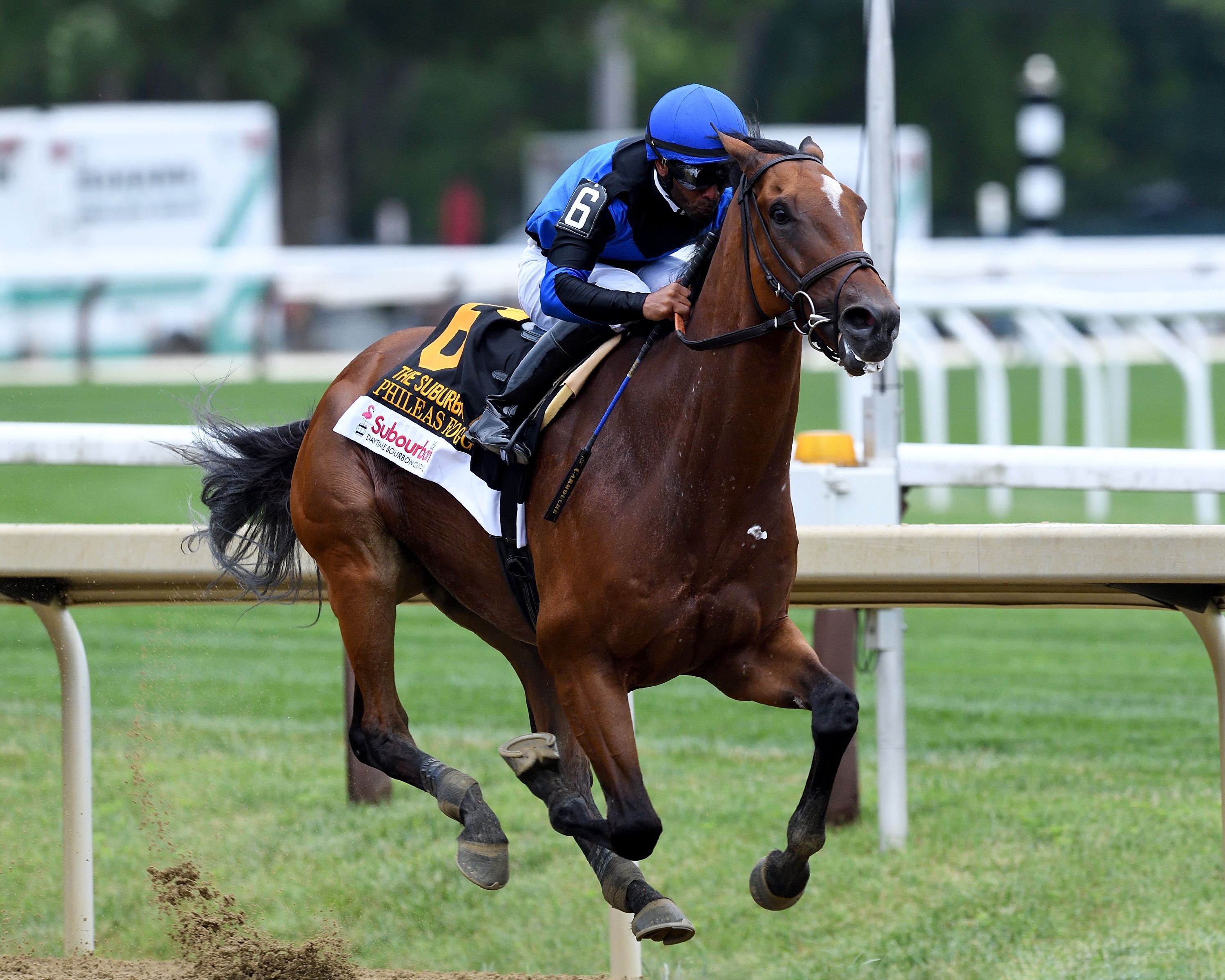 Phileas Fogg winning the Suburban (G2) at Saratoga.