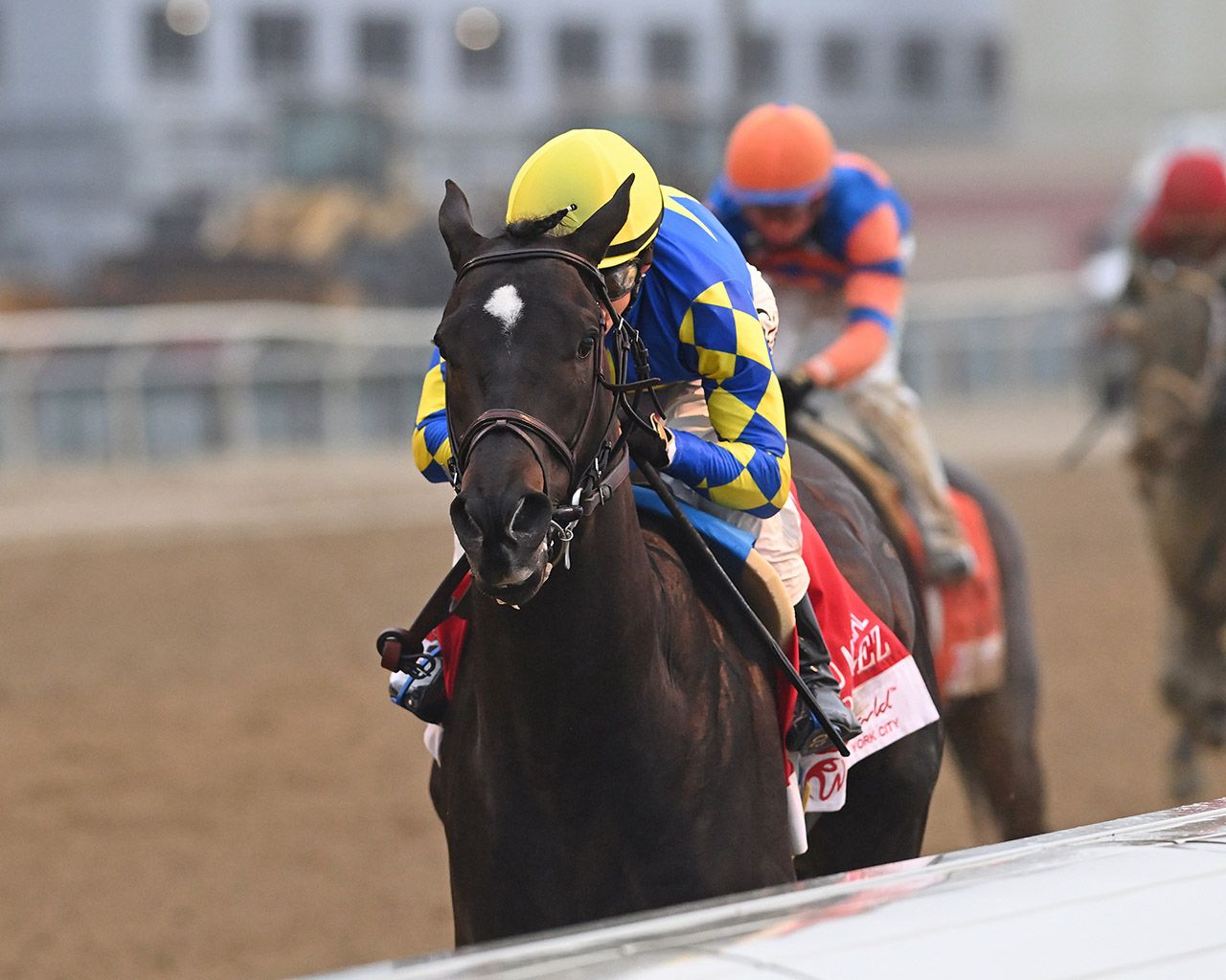 Rodriguez winning the 2025 Wood Memorial (G2) at Aqueduct