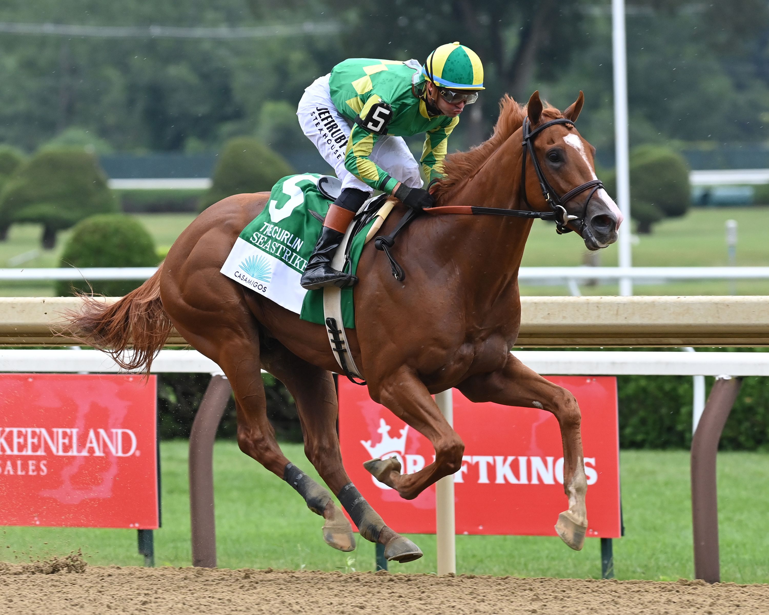 Sea Strike dominated the Curlin S. in his stakes and two-turn debut