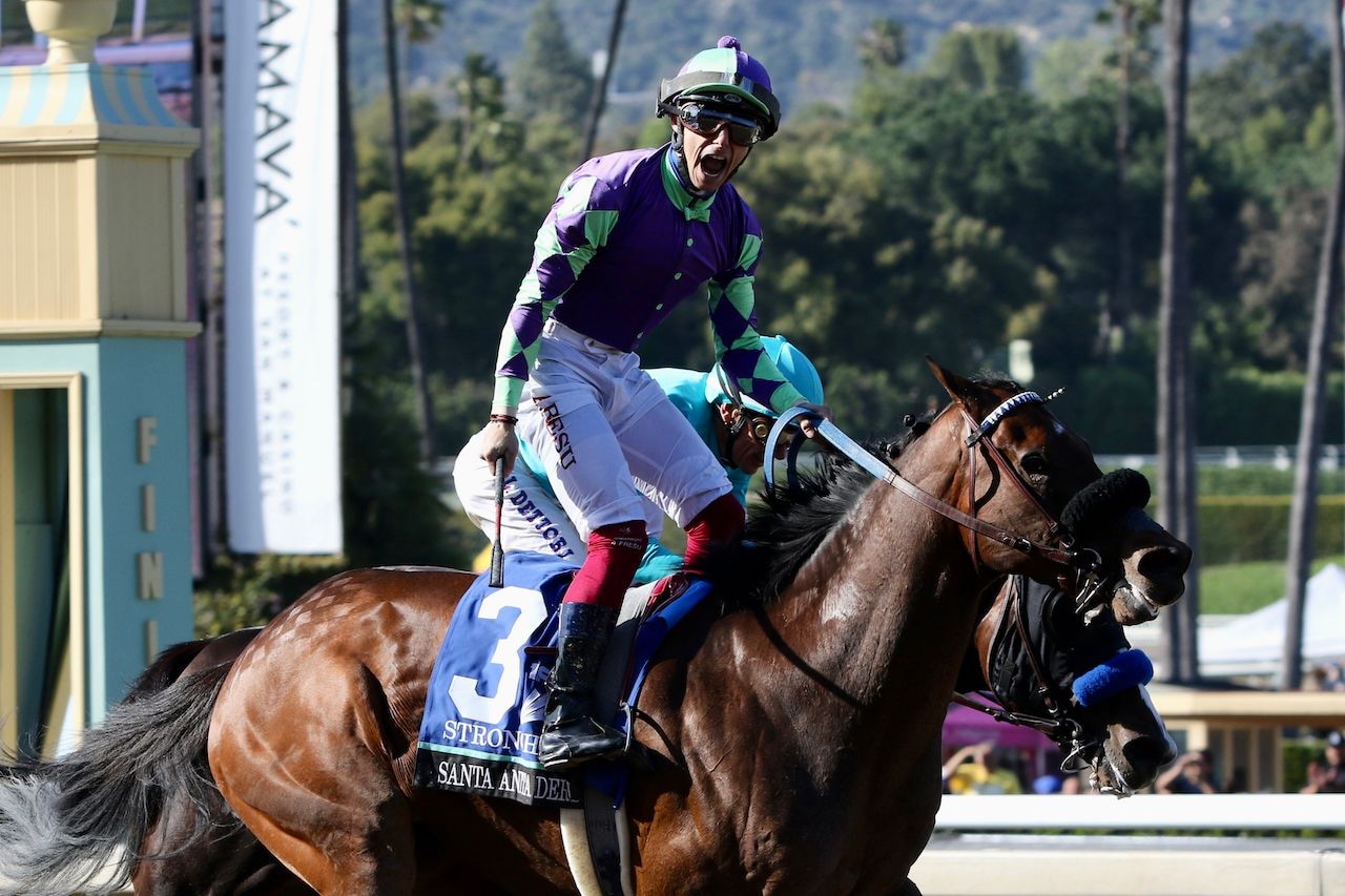 Stronghold (Photo by Horsephotos.com)