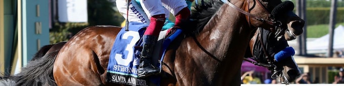 Stronghold back in action for Pat O'Brien