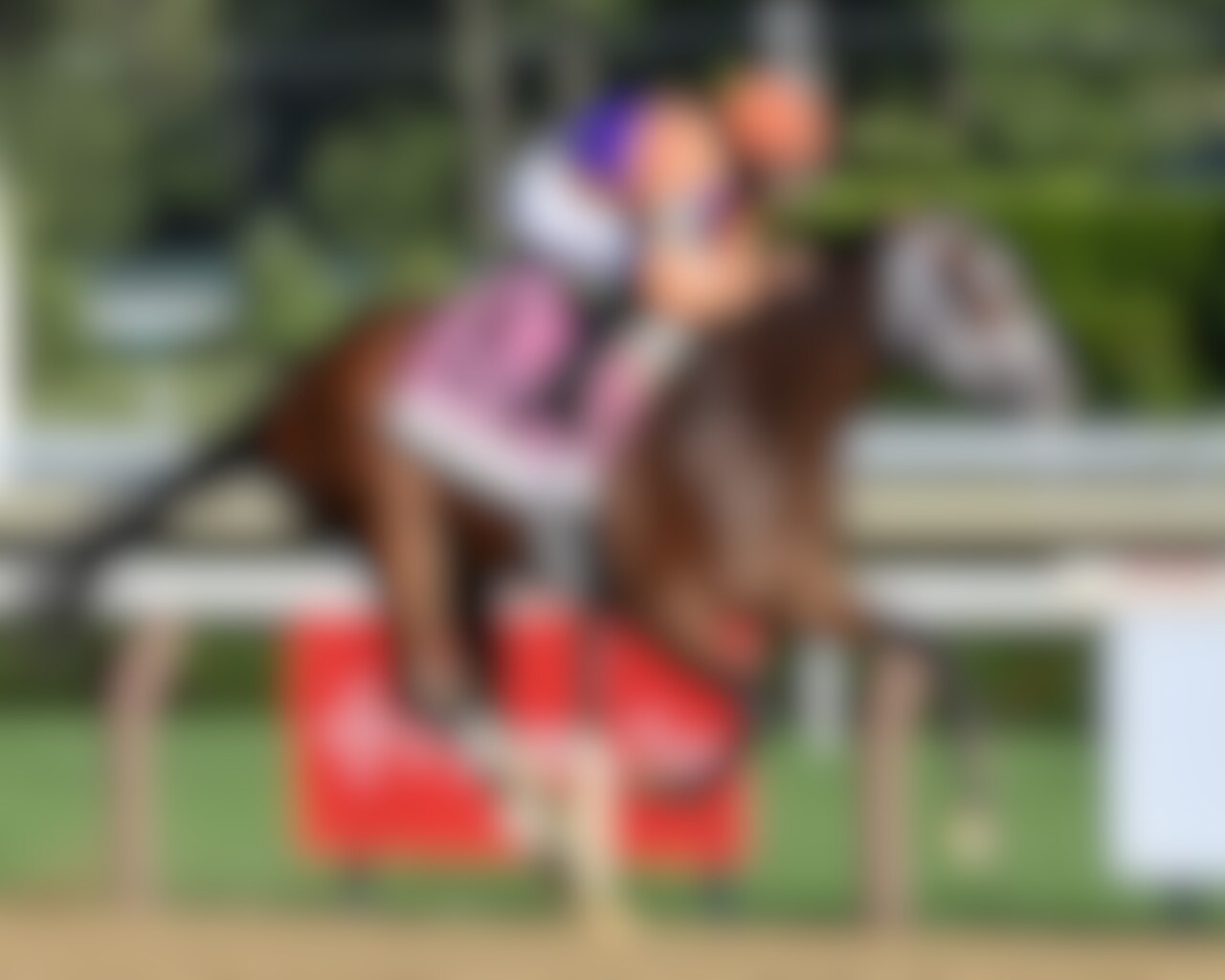 Tommy Jo wins the Spinaway Stakes at Saratoga. 