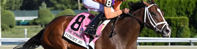 Tommy Jo stretches out in BC WAYI Alcibiades