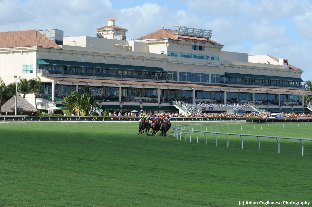 Gulfstream grandstand
