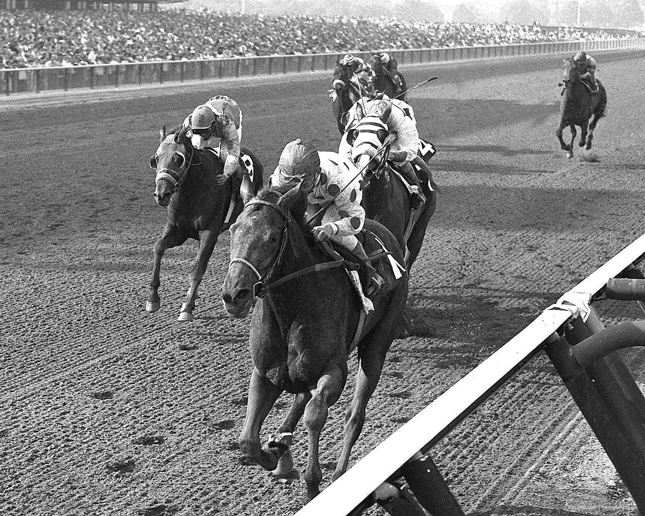 Damascus (Coglianese Photos/NYRA)