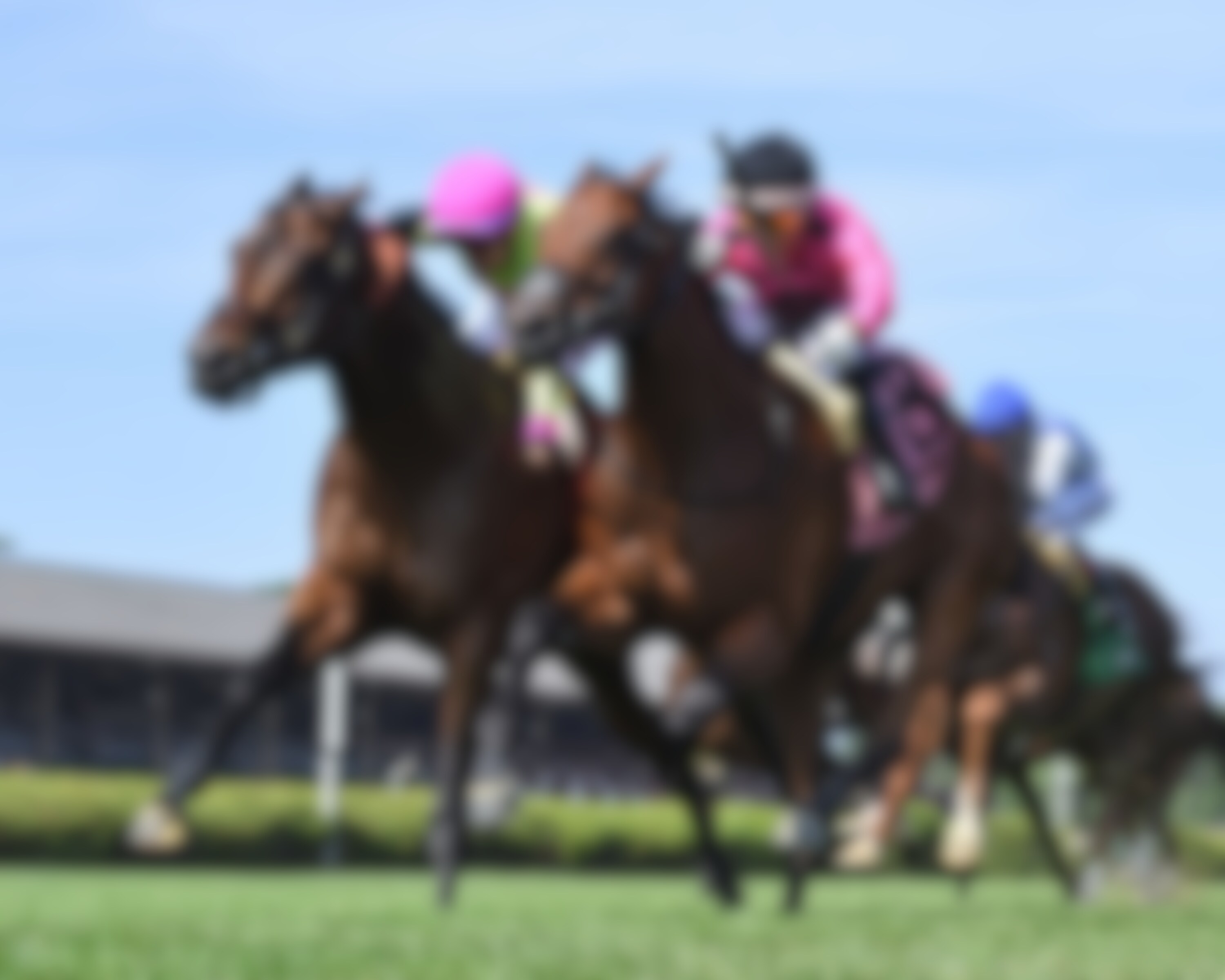 Zulu Kingdom (left) and Mi Bago duel to the wire in the Kelso (G3)