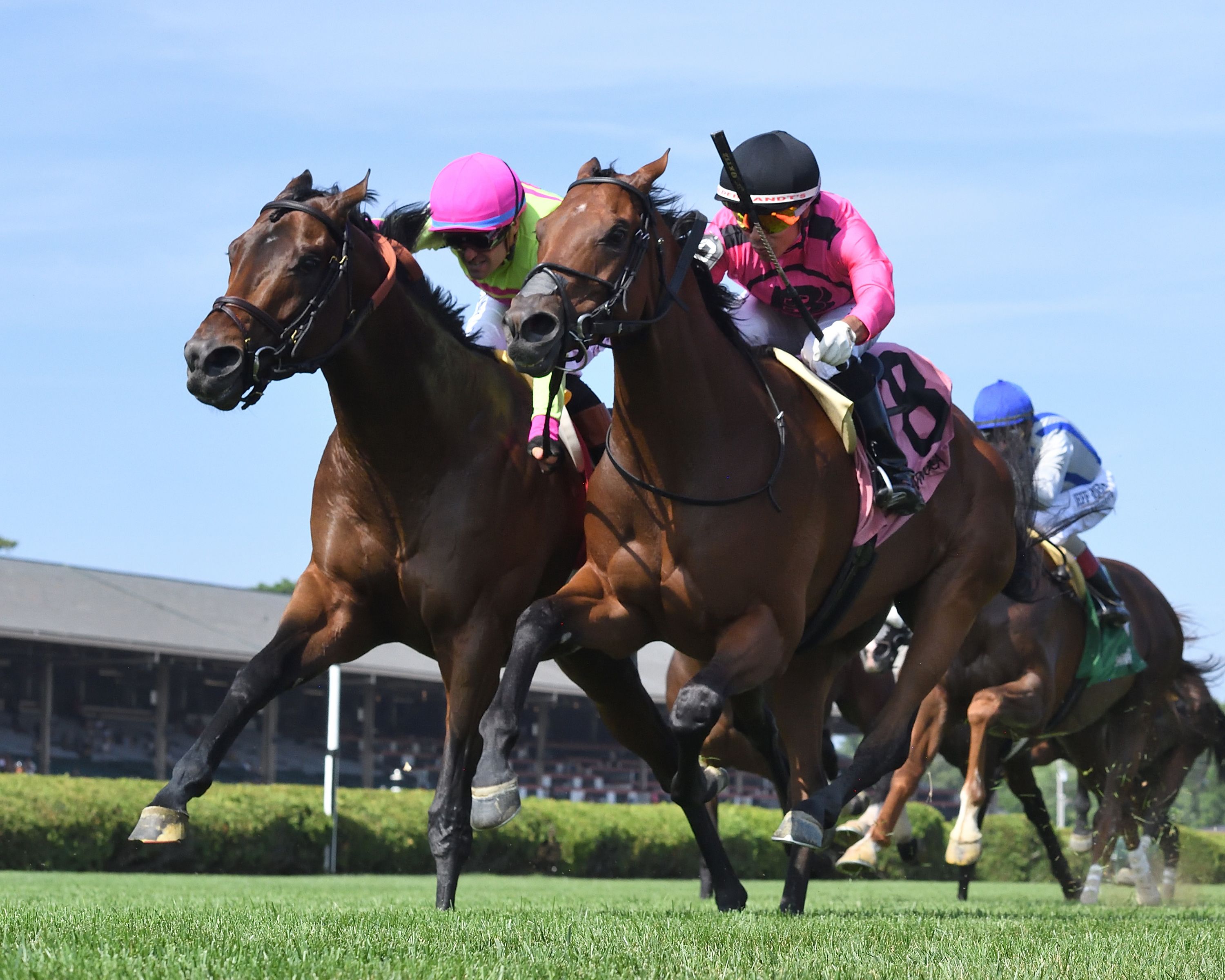 Zulu Kingdom (left) and Mi Bago duel to the wire in the Kelso (G3)