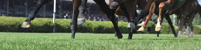 Zulu Kingdom, Mi Bago inseparable in Kelso dead heat
