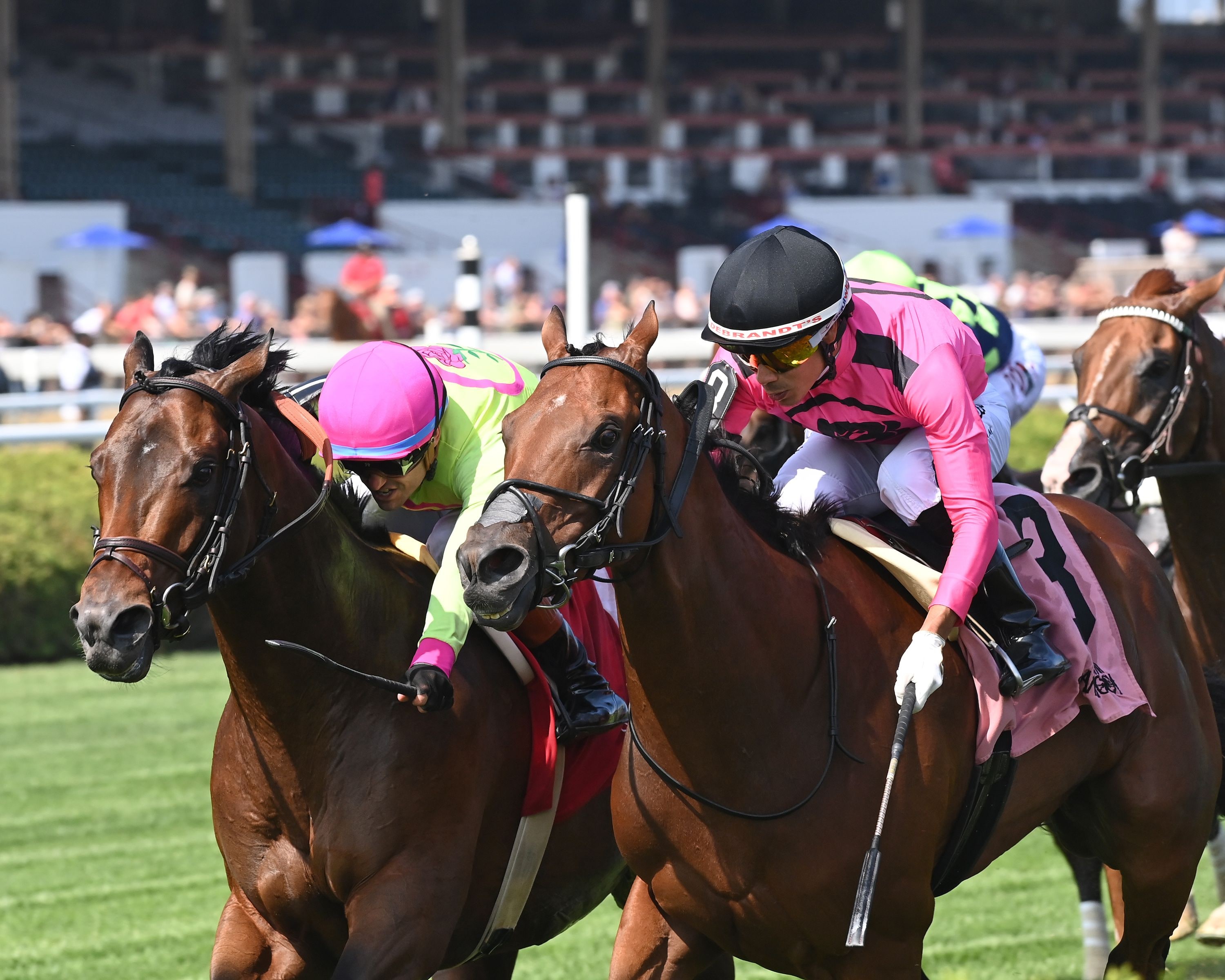 Mi Bago (right) reached for the wire to dead-heat with Zulu Kingdom in the Kelso (G3) (Photo by Chelsea Durand/Coglianese Photos)