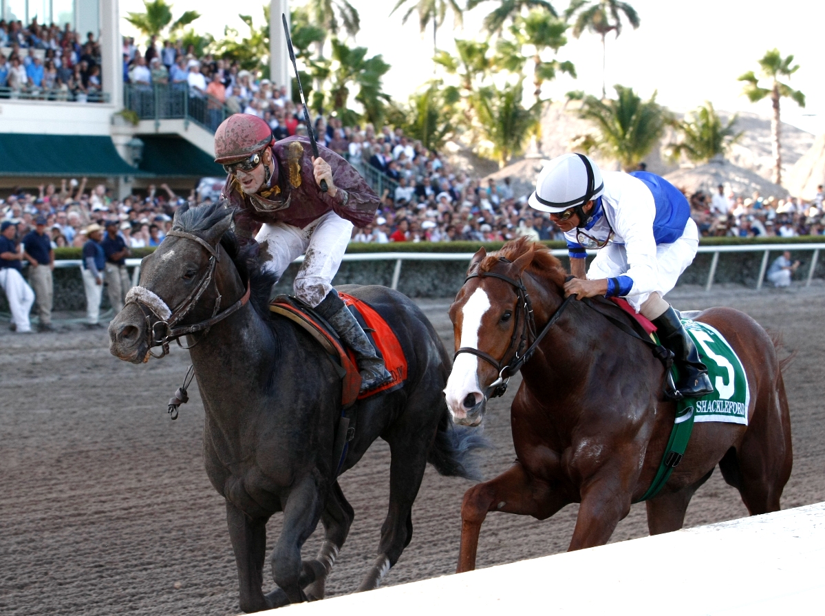 Dialed In sidelined, scheduled for knee chip surgery | BRISnet.com ...
