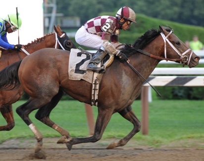 Bold Ruler, Turnback the Alarm Handicaps help wrap up Belmont's fall ...