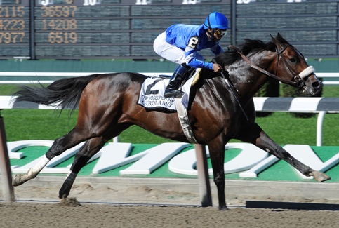 Girolamo gets 'Lucky' first winner | BRISnet.com Trusted Data & More