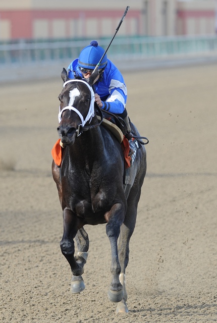 It's Tricky, Redding Colliery -- and Magnuson -- doing well Sunday ...