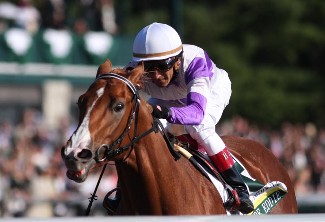 Square Eddie potential Lexington candidate | BRISnet.com Trusted Data ...